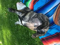 image.webp