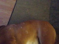 IMG_2703.JPG IMG_2703.JPG