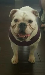 sue.webp