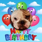 image.webp