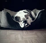 2015-09-17 11.01.21.webp