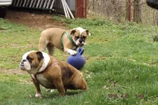 DSCF5400.webp
