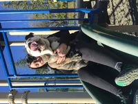 image.webp
