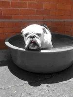 Joeybath.webp Joeybath.webp