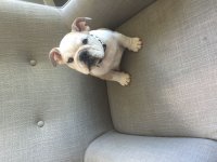 image.jpeg image.jpeg