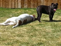 Play 1.webp