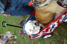 image.webp