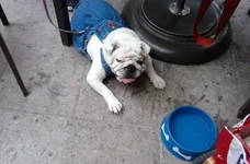 image.webp