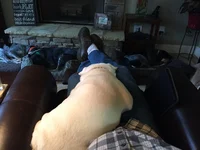 Winston 011016.webp