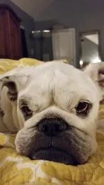 betty.webp