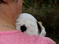 Rosie first day 017.webp