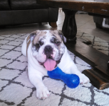 Screen Shot 2016-04-18 at 9.26.50 AM.png Screen Shot 2016-04-18 at 9.26.50 AM.png