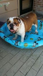 Monty in his pool.jpg