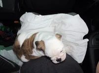 Rosie first day 023.webp
