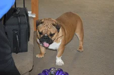 DSC_0124.webp