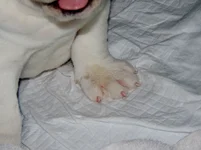 Rosie first day 040.webp Rosie first day 040.webp