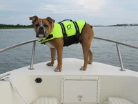 IMG_0685.webp IMG_0685.webp