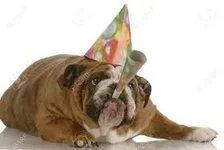 EB bday.webp
