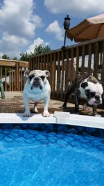 20140824_142634.webp 20140824_142634.webp