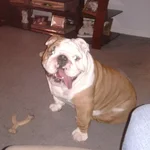 2012-01-17 20.13.26-2.webp