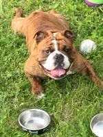 Petey.webp