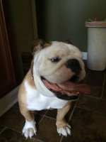 IMG_1770.JPG IMG_1770.JPG