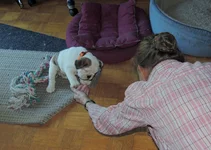 Rosie day 2 004.webp Rosie day 2 004.webp
