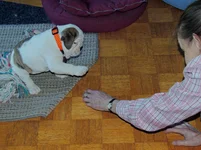 Rosie day 2 007.webp