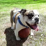 20150412_121357.webp