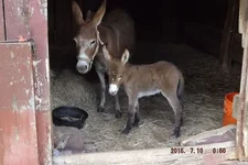 DSCF5540.webp