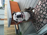 image.webp