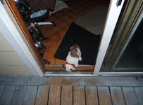 Day 3 Rosie 006.webp Day 3 Rosie 006.webp