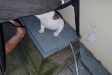 Day 3 Rosie 018.webp Day 3 Rosie 018.webp