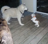 Day 3 Rosie 052.webp Day 3 Rosie 052.webp