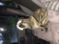 image.jpeg image.jpeg