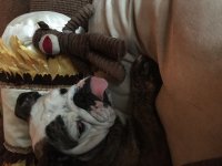 image.jpeg image.jpeg