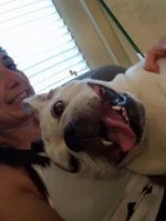 120160627_201811.webp