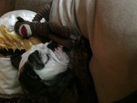 image.jpeg image.jpeg