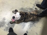 image.jpeg image.jpeg