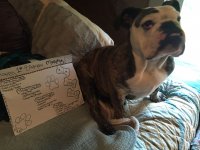 image.jpeg image.jpeg