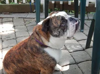 DSCN0023.webp