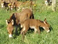 DSCF5893.webp