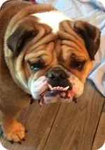 Charlie.webp