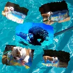 Bono's zwembad.webp