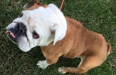 Lucy-Kay.webp