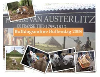 Bono op de bullendag.webp