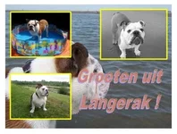 Ansichtskaart Bono 2.webp