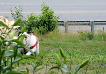 027.webp