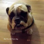 DSCF5653.webp