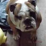 DSCF5651.webp